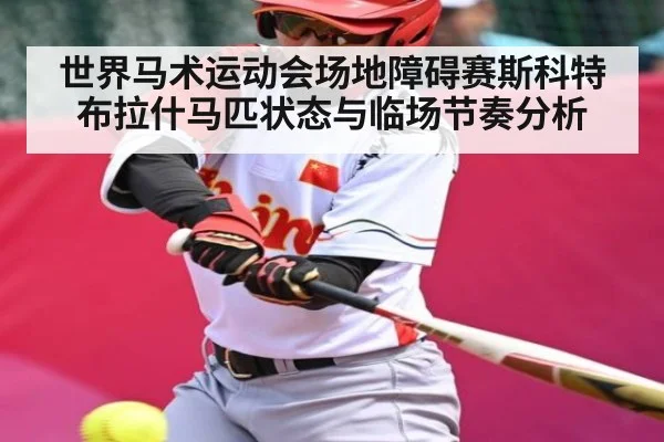 世界马术运动会场地障碍赛斯科特布拉什马匹状态与临场节奏分析